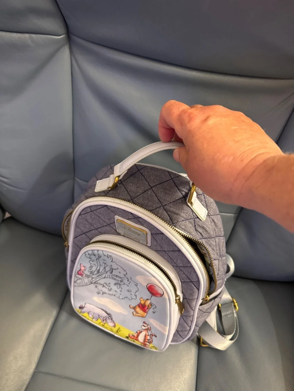 Disney; Loungefly Winnie the Pooh Backpack (mini)